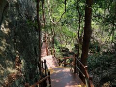 -中国科学院西双版纳热带植物园