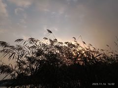 -渤公岛生态公园