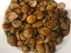 蚝油烩鲜草菇-和记小菜(七宝店)