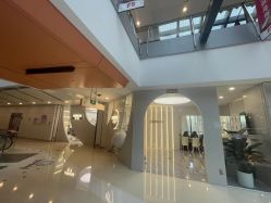 -COSMO PRO造型