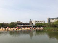 -青枫公园