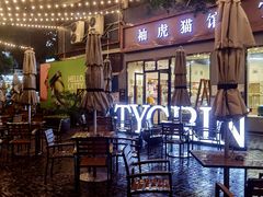 -袖虎猫馆(十亩地店)