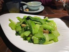 油渣上海青-韵秋荷(宝山龙湖天街店)