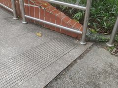 -晓港公园