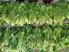 -鄞州雪菜博物馆