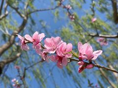 -中国农业博物馆