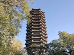 -博雅塔