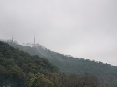 -韬光茶庵