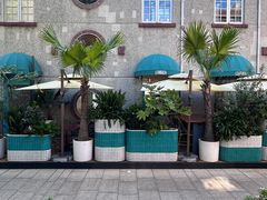 -Blueglass酸奶(上生新所店)
