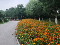 -永定河休闲森林公园