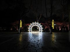 -杭州黄龙洞