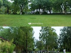 -环城公园