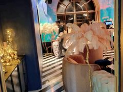 -Darling Queen·Mini·Live·House