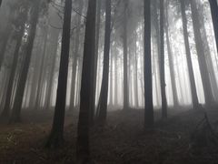 -山王坪喀斯特国家生态公园