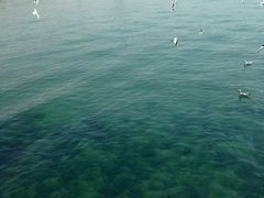 -海滨假日渔家海鲜