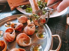 三拼蜗牛-金蜗牛