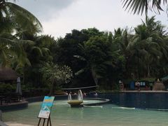 -三亚湾海居铂尔曼度假酒店