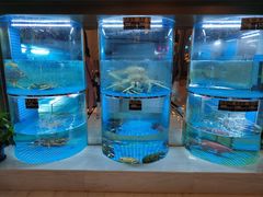 -吉阳酒店(奥山店)