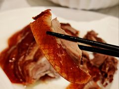 -洋洋中餐馆·SINCE 1997(龙湖星湖天街店)
