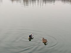 -前关湿地公园