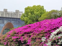 -长阳创谷