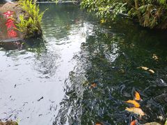-海口火山口国家地质公园