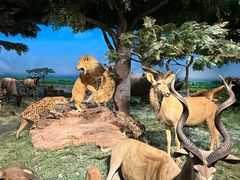 -国家自然博物馆