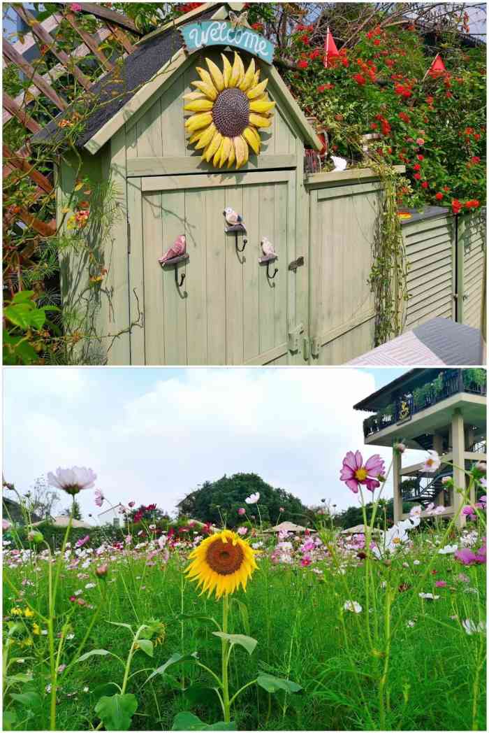 苏小花-"偶然在点评主页发现吴江这家新开的网红店."-大众点评移动版