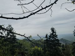 -凤栖山