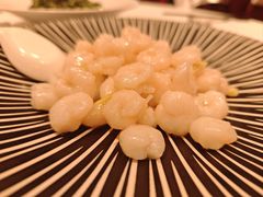 -新雅粤菜馆(南京东路店)