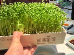 -捞神煲汤火锅(湖滨商业街店)
