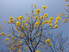 -中国移动南方基地