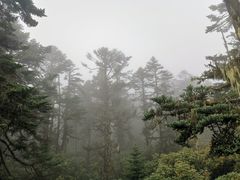 -海螺沟风景区