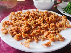 -途肴·老农饭庄(百里峡店)