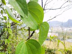 -Club Med地中海俱乐部·桂林度假村