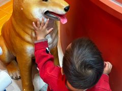 -顺风123(观音桥大融城店)