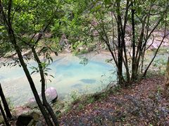 -广州白江湖森林公园