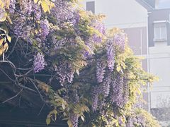 -双拥公园