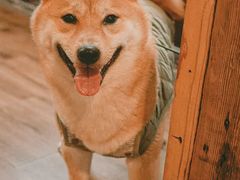 -CAFE CHEZ W一木家(香山路店)