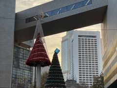 -桂满陇天书(南京德基旗舰店)