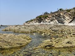 -养马岛旅游度假区