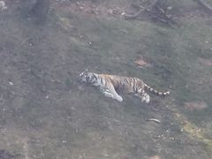 -泉州海丝野生动物世界