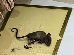 -一品天下(地铁站)