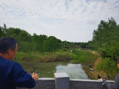 -尚贤河湿地