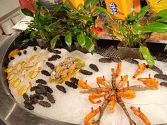 -裕龙汤泉
