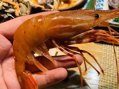 -蟹将军·松叶蟹和牛日料放题自助(K11店)