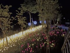 -怡海公园(桂城街道)