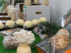 -盒马X会员店(上海森兰商都店)