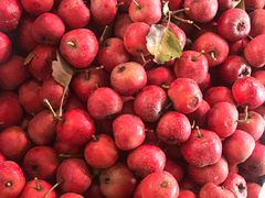 -北京清河镇农副产品交易市场中心