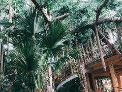 -沈阳龙润夏宫温泉水乐园